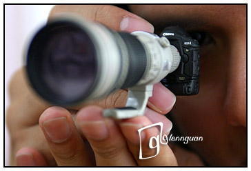eos1ds.jpg